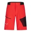 SALEWA PEDROC 3 DST M CARGO SHORTS Herren - Trekkinghose